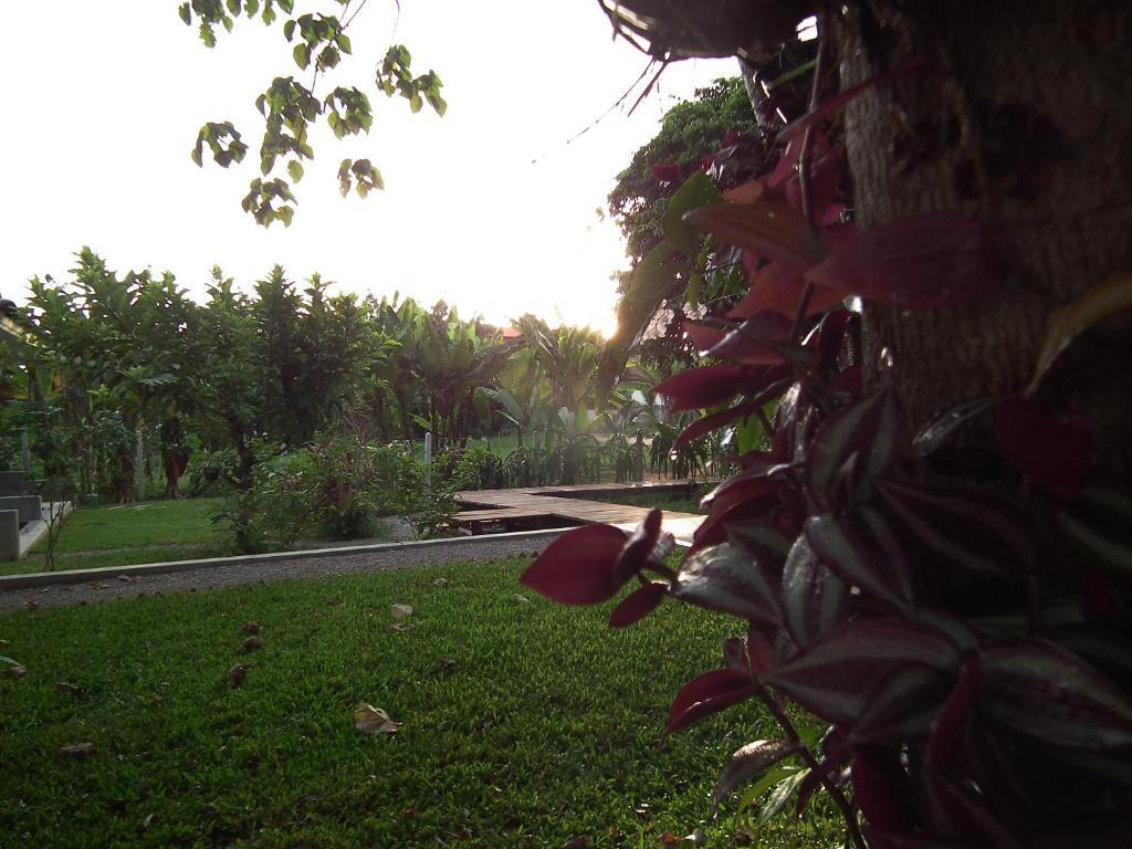 Villa De Mama Rawai Bagian luar foto